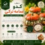 بذر کدو عمامه ترکی