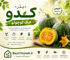 بذر کدو جک کوچولو