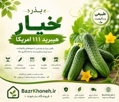 بذر خیار هیبرید 111 امریکا